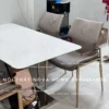 GACC3 Ghế Ăn Cao Cấp Saddle Có Tay Vịn